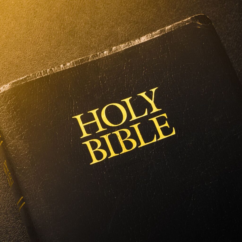 bible app