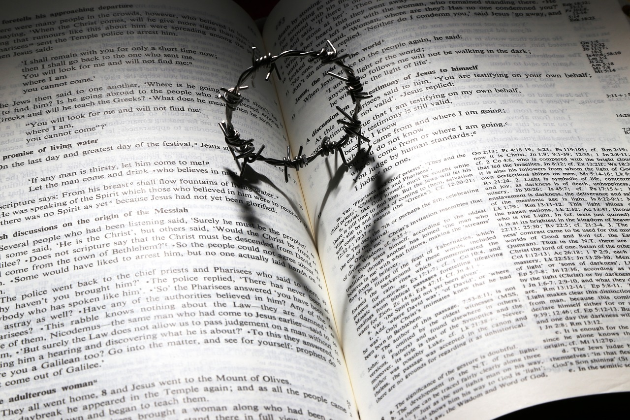 Catholic Bible app with audio: listen to the Bible on your cell phone