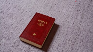 Holy Bible app read and listen to the Bible online
