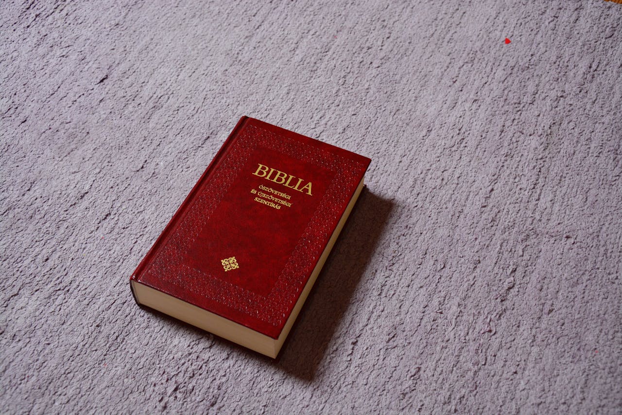 Did you know that the word 'grace' appears more than 100 times in the Bible?